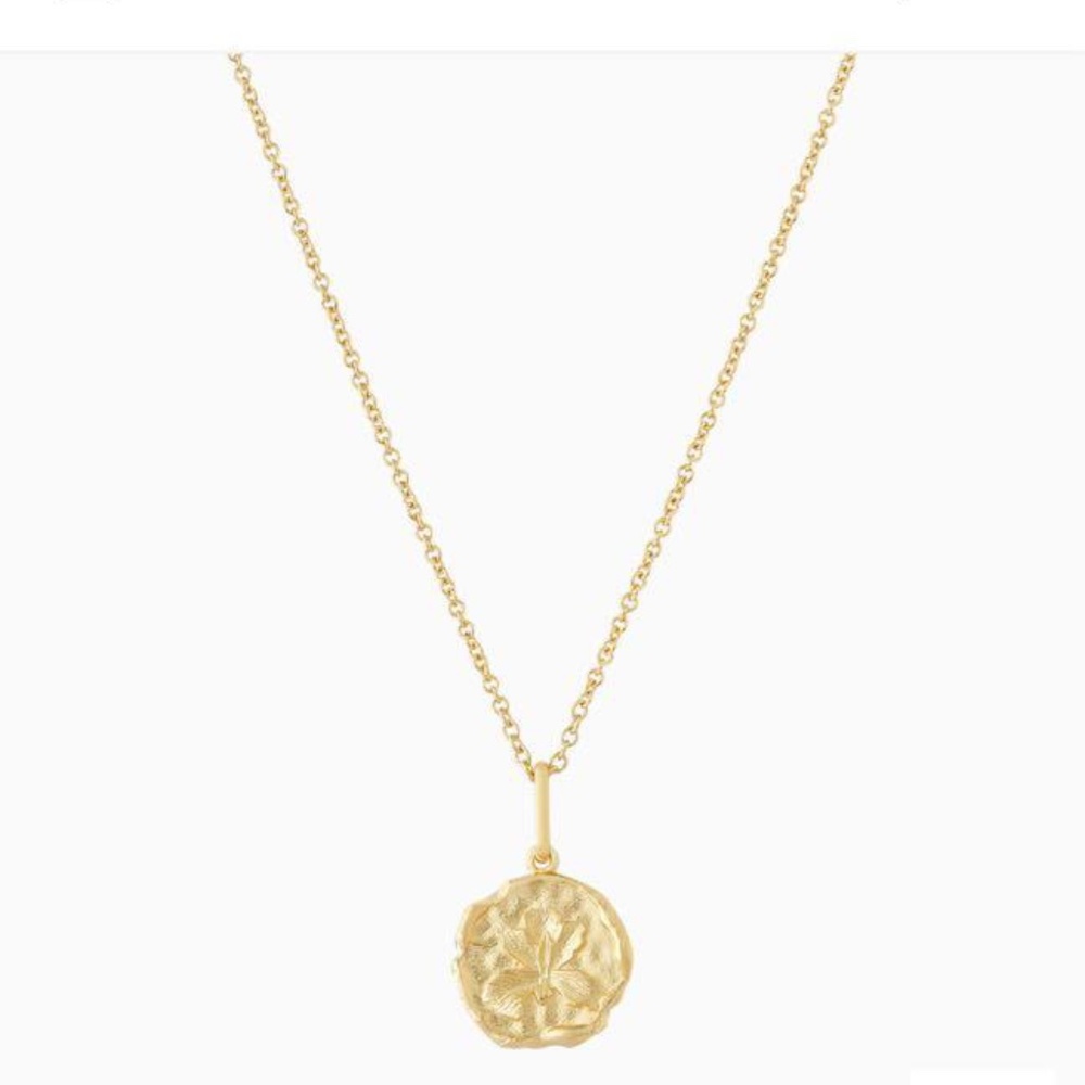 Mejuri Iris Medallion Necklace 🌸